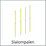 Slalompalen
