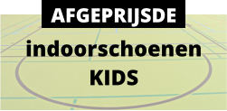 indoorschoenen KIDS AFGEPRIJSDE