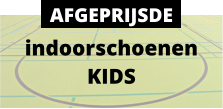 indoorschoenen KIDS AFGEPRIJSDE