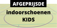 indoorschoenen KIDS AFGEPRIJSDE