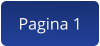 Pagina 1