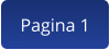 Pagina 1
