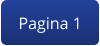 Pagina 1