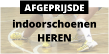 indoorschoenen HEREN AFGEPRIJSDE