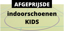 indoorschoenen KIDS AFGEPRIJSDE