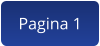 Pagina 1