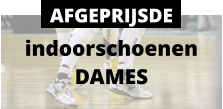 indoorschoenen DAMES AFGEPRIJSDE