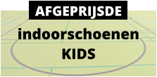 indoorschoenen KIDS AFGEPRIJSDE