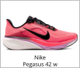 Nike Pegasus 42 w