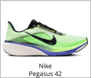 Nike Pegasus 42