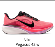 Nike Pegasus 42 w