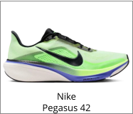 Nike Pegasus 42