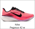 Nike Pegasus 42 w