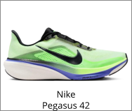 Nike Pegasus 42