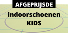 indoorschoenen KIDS AFGEPRIJSDE