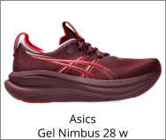 Asics Gel Nimbus 28 w