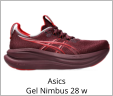 Asics Gel Nimbus 28 w
