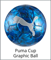 Puma Cup Graphic Ball