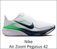 Nike Air Zoom Pegasus 42