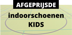 indoorschoenen KIDS AFGEPRIJSDE