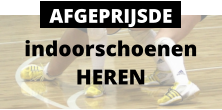 indoorschoenen HEREN AFGEPRIJSDE