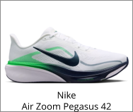 Nike Air Zoom Pegasus 42