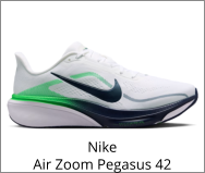 Nike Air Zoom Pegasus 42
