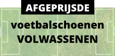 voetbalschoenen VOLWASSENEN AFGEPRIJSDE