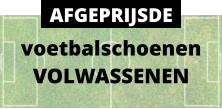 voetbalschoenen VOLWASSENEN AFGEPRIJSDE