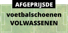voetbalschoenen VOLWASSENEN AFGEPRIJSDE