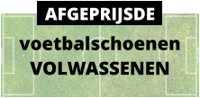voetbalschoenen VOLWASSENEN AFGEPRIJSDE