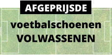 voetbalschoenen VOLWASSENEN AFGEPRIJSDE