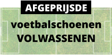 voetbalschoenen VOLWASSENEN AFGEPRIJSDE