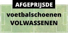 voetbalschoenen VOLWASSENEN AFGEPRIJSDE