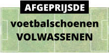 voetbalschoenen VOLWASSENEN AFGEPRIJSDE