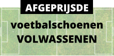 voetbalschoenen VOLWASSENEN AFGEPRIJSDE