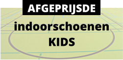 indoorschoenen KIDS AFGEPRIJSDE