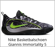 Nike Basketbalschoen Giannis Immortality 5
