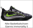 Nike Basketbalschoen Giannis Immortality 5