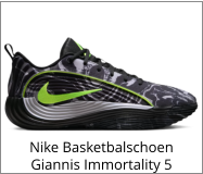 Nike Basketbalschoen Giannis Immortality 5