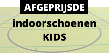 indoorschoenen KIDS AFGEPRIJSDE