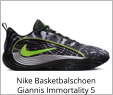 Nike Basketbalschoen Giannis Immortality 5